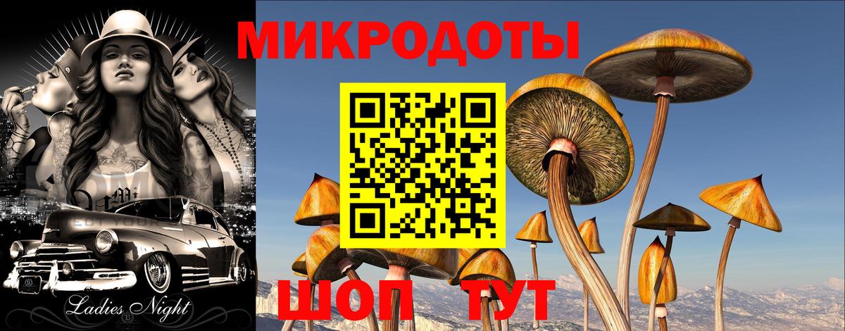 Галлюциногенные грибы MAGIC MUSHROOMS  Псилоцибиновые грибы Magic Shrooms  Вход с VPN  Карталы 